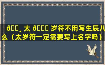 🕸 太 🐎 岁符不用写生辰八字么（太岁符一定需要写上名字吗）